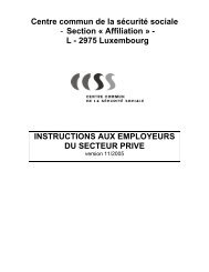 INSTRUCTIONS AUX EMPLOYEURS DU SECTEUR PRIVE - CCSS