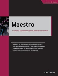 Maestro Brochure - ISP