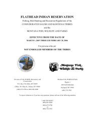 flathead indian reservation - Confederated Salish and Kootenai Tribes