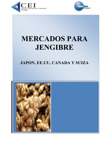 MERCADOS PARA JENGIBRE - CEI