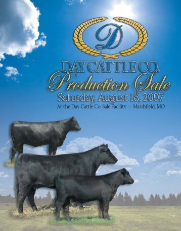 At the Day Cattle Co. Sale Facility Marshfield, MO - Angus Journal