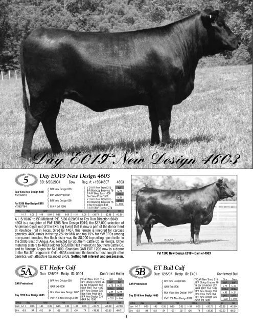 At the Day Cattle Co. Sale Facility Marshfield, MO - Angus Journal