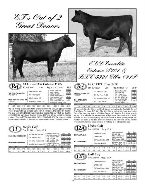 At the Day Cattle Co. Sale Facility Marshfield, MO - Angus Journal