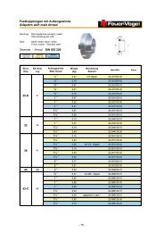 Katalog [PDF] - Feuer-Vogel