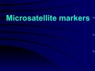 Microsatellite markers