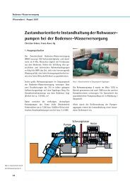 Zustandsorientierte Instandhaltung der Rohwasser - Zweckverband ...