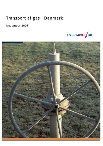 Transport af gas i Danmark 2008 - Energinet.dk