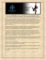 Aerial Performance Group Jacksonville