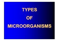 TYPES OF MICROORGANISMS