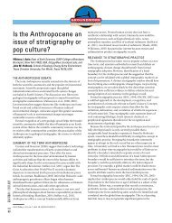 Is the Anthropocene an issue of stratigraphy or pop culture?