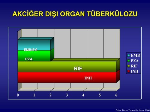 AkciÄer DÄ±ÅÄ± TÃ¼berkÃ¼loz tedavisi