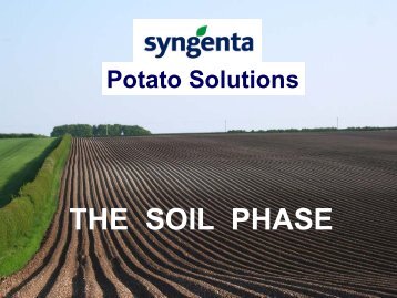 Syngenta Potato Solutions - The Soil Phase