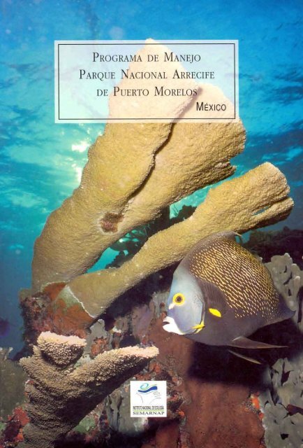 programa de manejo del parque nacional arrecife de ... - Conanp programa de manejo del parque nacional arrecife de ... - Conanp