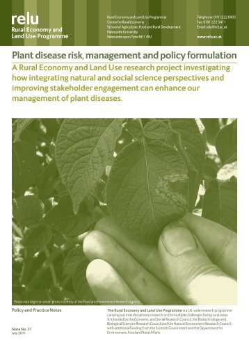 Plant disease risk, management and policy formulation