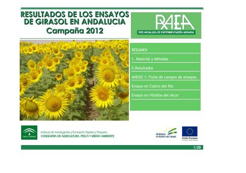 RAEA GIRASOL 2012 - Besana Portal Agrario