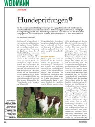 1. Teil: Vorstehhunde (Üben, Schussfestigkeit, Begriffe) - Weidwerk