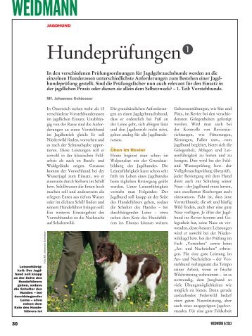 1. Teil: Vorstehhunde (Üben, Schussfestigkeit, Begriffe) - Weidwerk