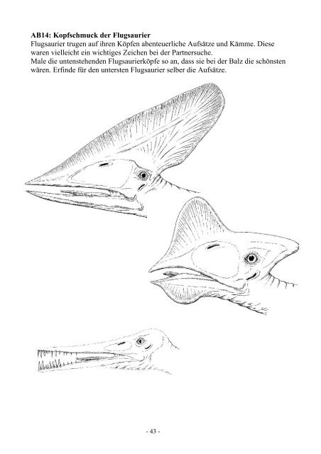 Saurier in der Dauerausstellung - Naturmuseum St.Gallen