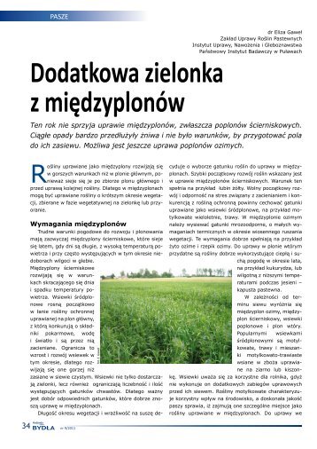 Dodatkowa zielonka z miÄdzyplonÃ³w