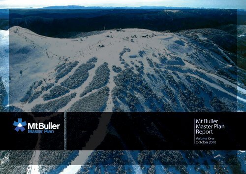 Mt Buller Master Plan Report