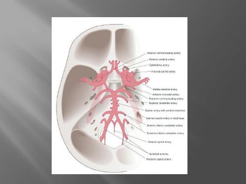 emorragie cerebrali - FacoltÃ  di Medicina e Chirurgia