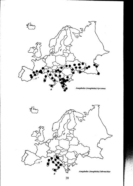 distribution of the genus Anopheles in Europe. - European Mosquito ...