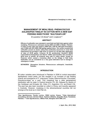 management of mealybug, phenacoccus solenopsis tinsley in cotton ...