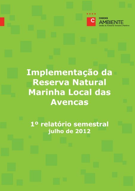 1.Âº relatÃ³rio semestral/julho de 2012 - ZIBA - CÃ¢mara Municipal de ...