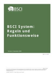 BSCI System: Regeln und Funktionsweise