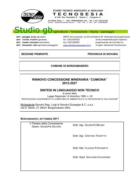 Sintesi non tecnica - Valutazione Ambientale - Regione Piemonte