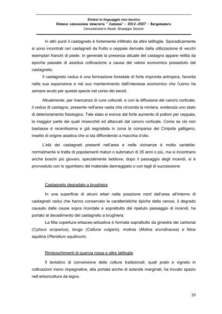 Sintesi non tecnica - Valutazione Ambientale - Regione Piemonte