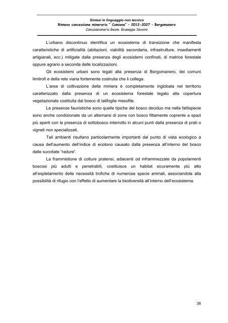 Sintesi non tecnica - Valutazione Ambientale - Regione Piemonte