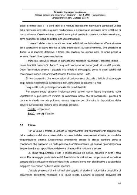 Sintesi non tecnica - Valutazione Ambientale - Regione Piemonte