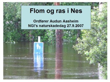 K Audun Aasheim - Flom og ras i Nes.pdf - NGI