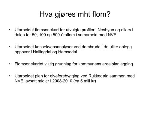 K Audun Aasheim - Flom og ras i Nes.pdf - NGI