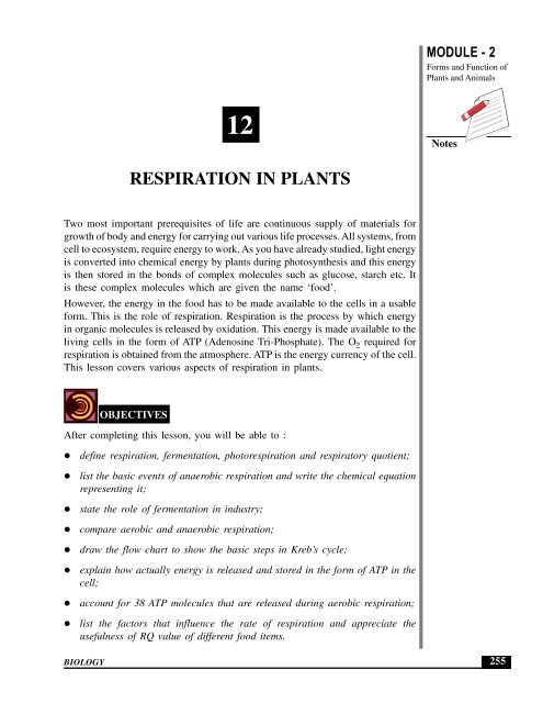 RESPIRATION IN PLANTS RESPIRATION IN PLANTS