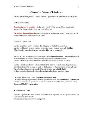 Worksheets Patterns Of Inheritance Worksheet ap chapter 15 the chromosomal basis of inheritance 9 patterns inheritance