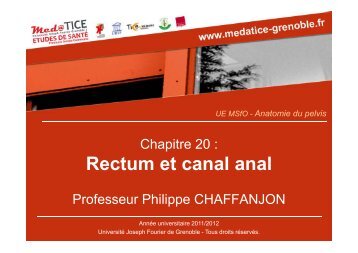 Rectum et canal anal - UniversitÃ© Virtuelle Paris 5