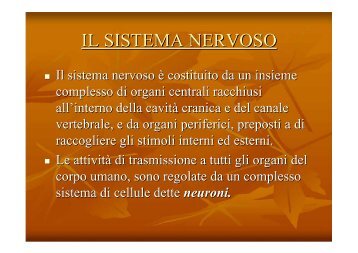 IL SISTEMA NERVOSO - CRI Trentino