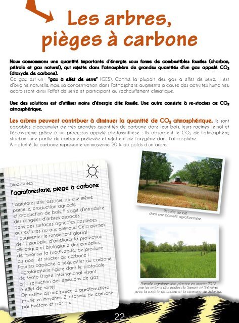 brochure - Arbre & Paysage