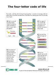 DNA Factsheets (English) (PDF) - EMBL