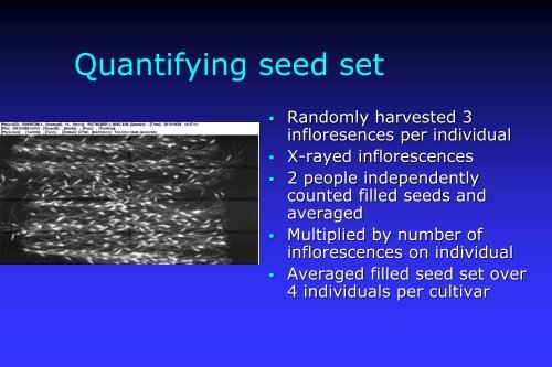 Evaluation of Miscanthus Cultivars for Fecundity and Potential ...