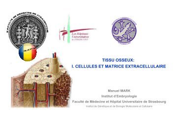 TISSU OSSEUX: I. CELLULES ET MATRICE EXTRACELLULAIRE