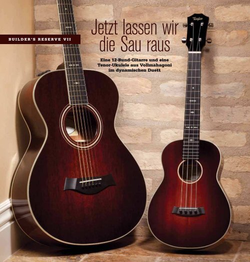 Fall Limiteds Builder's Reserve - Taylor Guitars