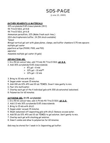 SDS-PAGE and Western Blotting