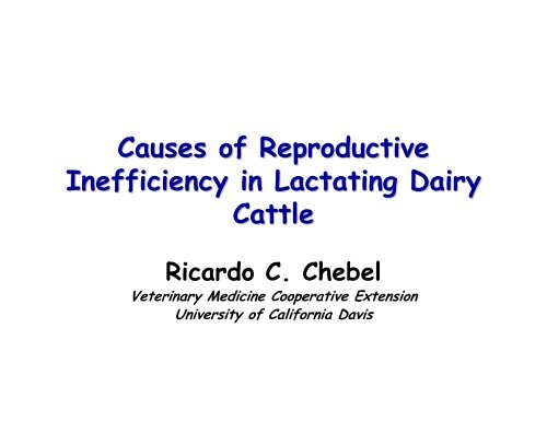 Causes of Reproductive Inefficiency in Lactating Dairy Cattle - AgWeb