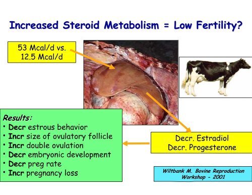 Causes of Reproductive Inefficiency in Lactating Dairy Cattle - AgWeb