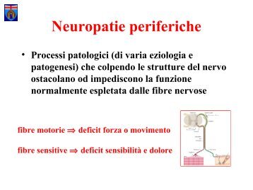 4 Neuropatie.pdf - WikiMotorio