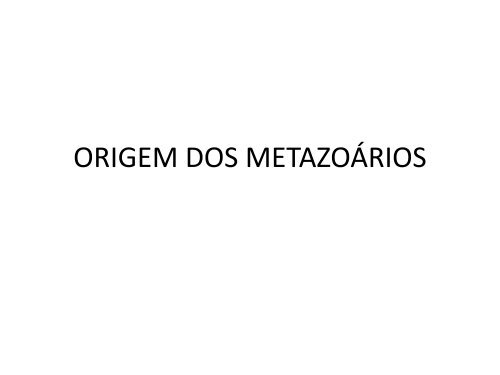 1. Origem dos MetazoÃ¡rios - Instituto de Biologia da UFRJ