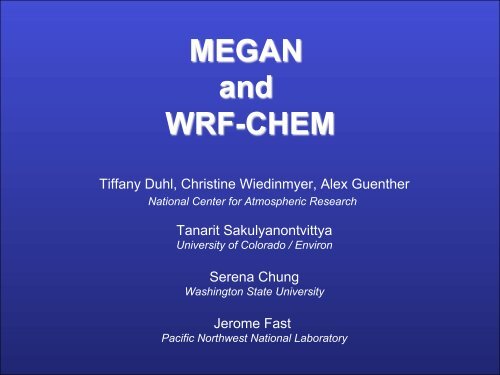 MEGAN and WRF-CHEM - RUC - NOAA